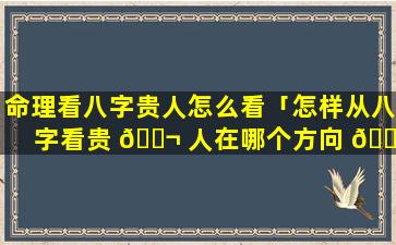 命理看八字贵人怎么看「怎样从八字看贵 🐬 人在哪个方向 🐋 」